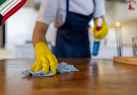 خدمات تنظيف المنازل في